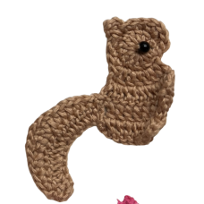Squirrel Notion