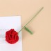 Carnations