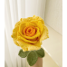 Large Size Gradient Thai Rose