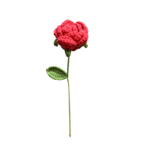 Middle Size Solid Color Rose
