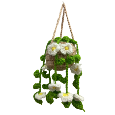 Hanging Plant with Flowers