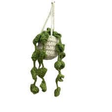 Hanging Plants