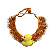 Ducky on the pumpkin