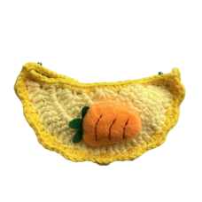 Carrot Bib